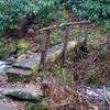 These log crossings can be slippery and mossy. Here, the footlog crosses the Left Prong.