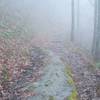 The trail is rocky and uneven as it climbs towards Russell Field Shelter.