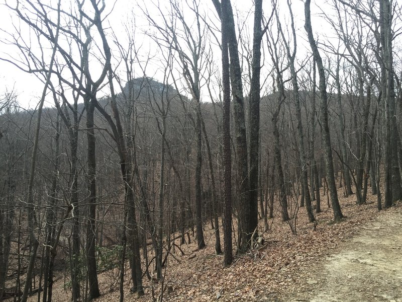 View of Big Pinnacle from the Grindstone Trail.