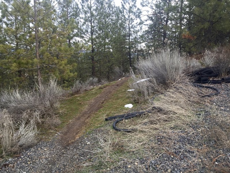 The trail across Seven Mile/Deep Creek side.