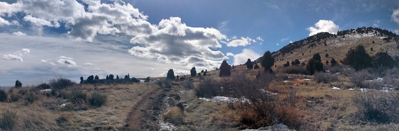 Top of the Mesa. Blue skies, scrub and a good trail.