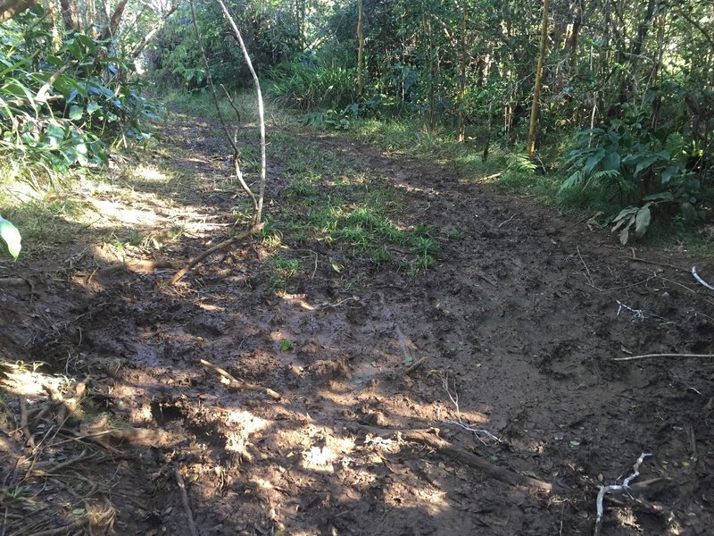 One of the half dozen muddy areas along the way.