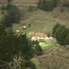 Looking at the yurts down on the Green Gulch Farm, a part of the Zen Center.