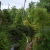 The view over the stream along the trail at Crow's Nest Preserve.