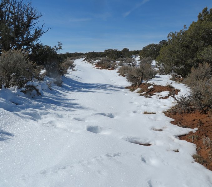 A ribbon of snow beckons you onward.