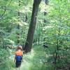Eli and Joxer hiking along a portion of the Gerard Trail at Oil Creek State Park.