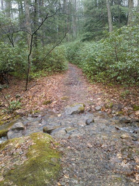 Small stream near the "sluice pipe." A great place to splash some water over your face before moving on during a hot day.