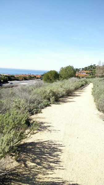 This sunny photo is an example of conditions on the Three Sisters Trail.