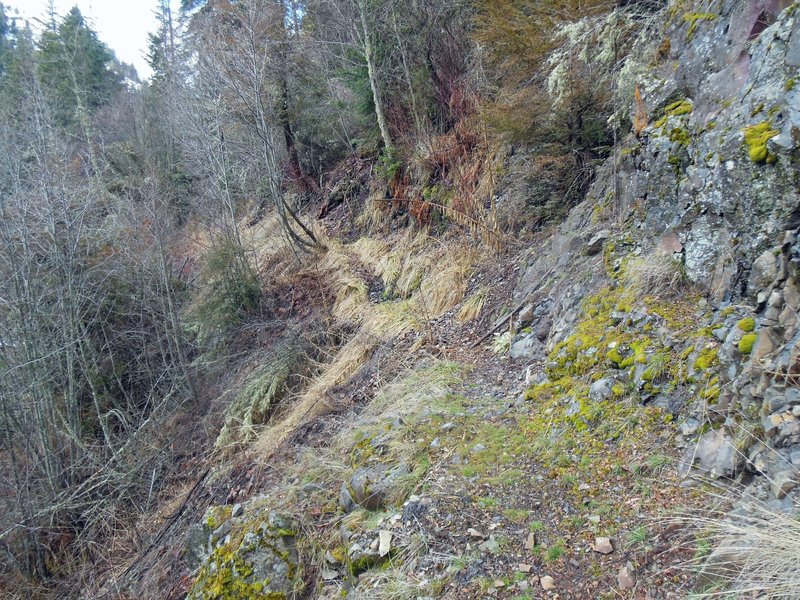 The narrow part of Asotin Creek Trail about 8 miles from trailhead.