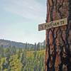 Sign high up on tree right before turning right on to North Pinkham Trail.