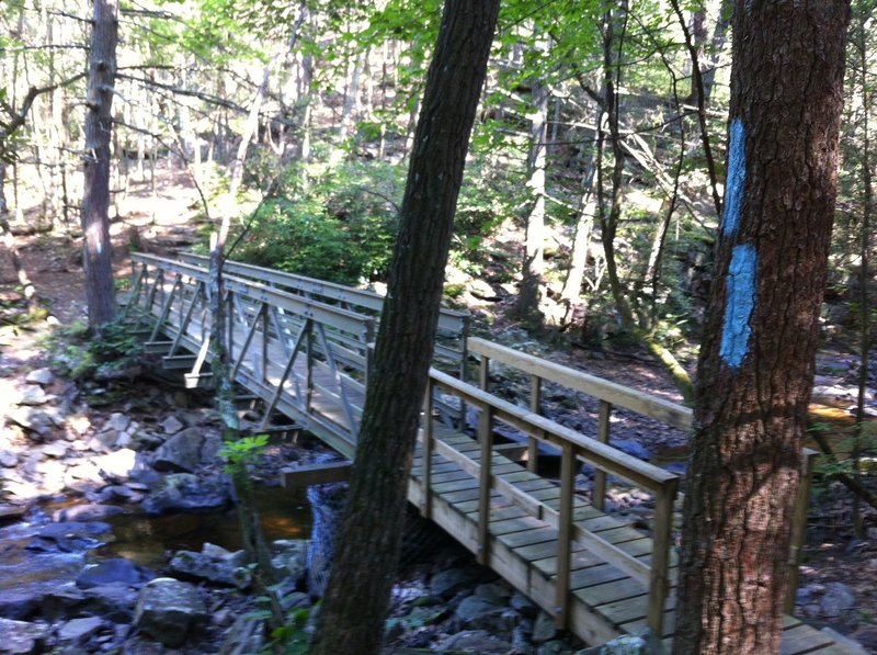 Bridge over Meadow Branch Creek.