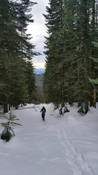 View from Mt. Spokane.