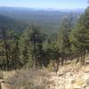 View of trail going down from Mogollon Rim.