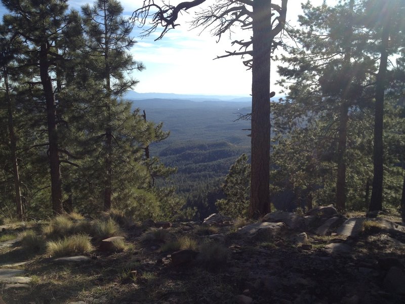 View from Mogollon Rim campsite.