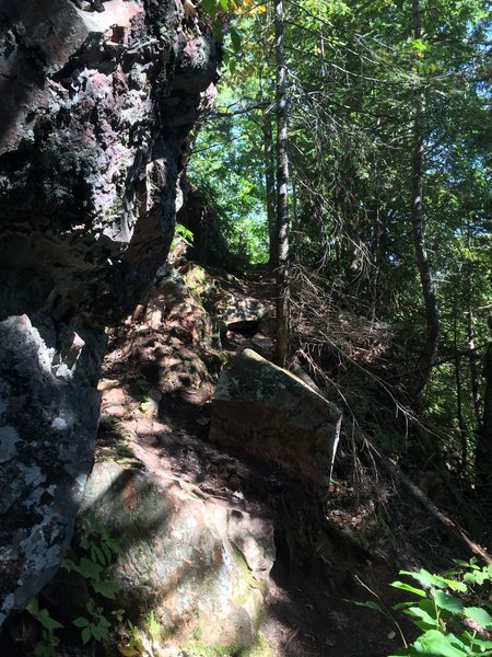 A steeper section of the trail.