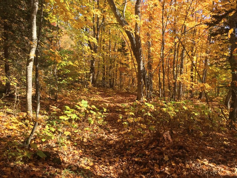 Below the bluff in October.