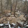 Melting snow along Turkey Pen Hollow Trail.