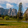 Yosemite from the valley.