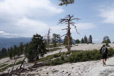 Hiking top el cap