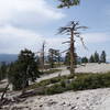 On top of El Capitan, Yosemite National Park.