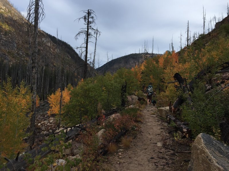 Hiking up Chewich Trail.