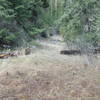 The bottom end of North Pinkham Trail as seen from North Asotin Creek Trail.