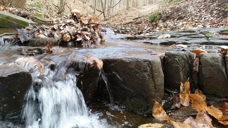 Neal Thorpe Trail - Gorge in January