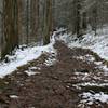 The trail through the woods.