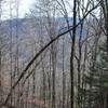 Views off to the left side of the Dry Sluice Gap Trail as you descend along the ridge.