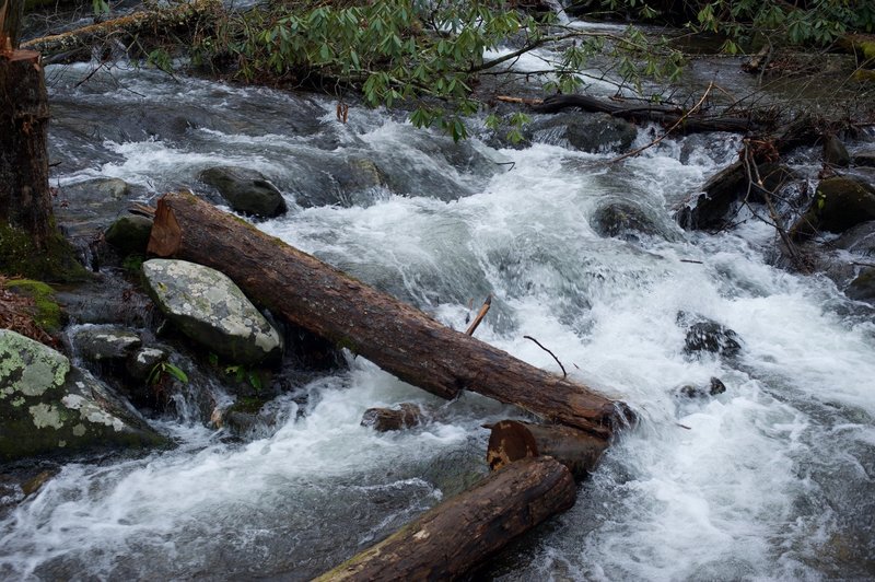 One of the creek crossings that has to be navigated on the Anthony Creek Trail.