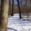 Calumet Dunes trail in the winter.