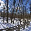 Calumet Dunes trail boardwalk on a gorgeous winter day.