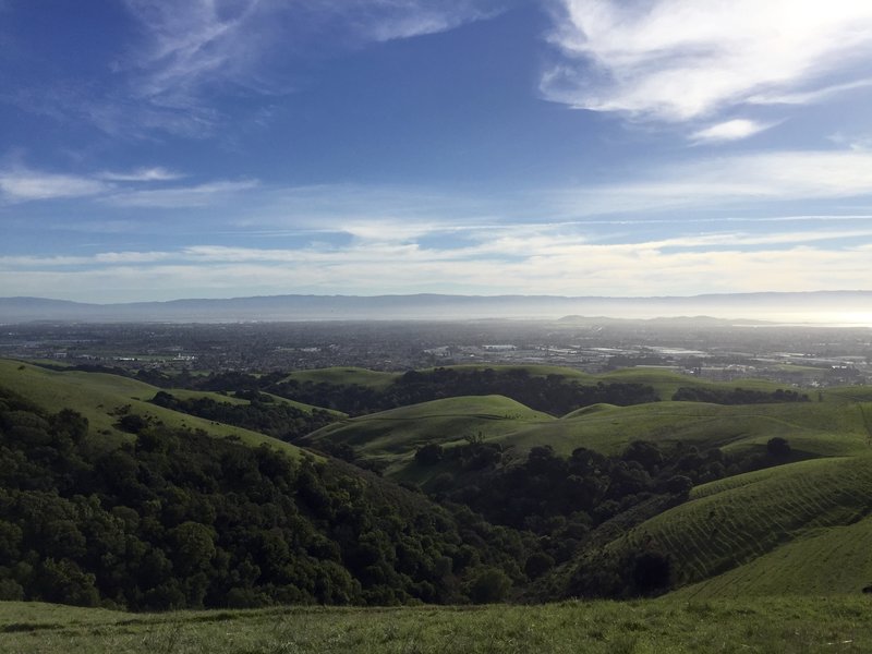 View from the top of the hills, looking west.