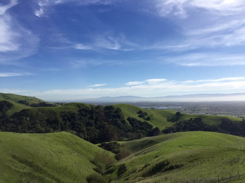 Looking south on top of the hills.