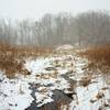 The headwaters of the Little Calumet River.