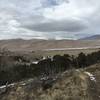 The view out toward the dunes from Wellington Ditch Trail.