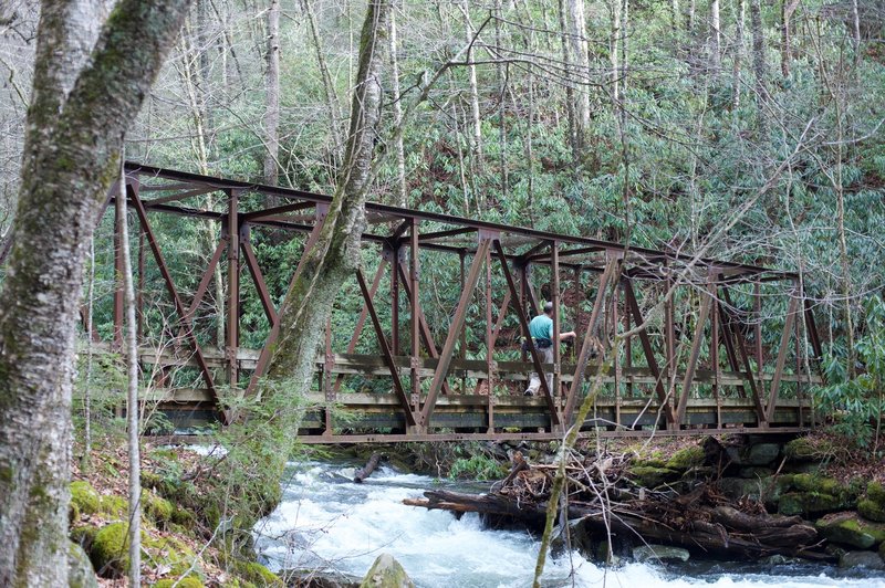 Old railroad bridge crossing the Bradley Fork.