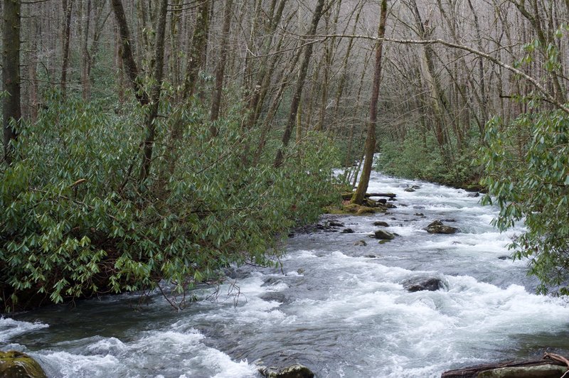 The Bradley Fork.