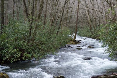 Oconaluftee River Watershed - Chasm Prong or the Bradley Fork Tributary - Fly  Fishing Smoky Mountains