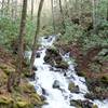 A cascade off to the side of the Bradley Fork Trail.