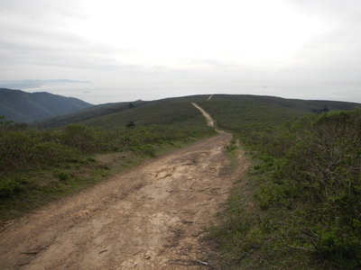 The highest point on the Coyote Ridge Trail looking west.  Follow the trail down to connect with the Coastal Trail, then head south to the Tennessee Valley or north toward Muir Beach.  Travel east to the start of the trail where it intersects with the Miwok Trail.