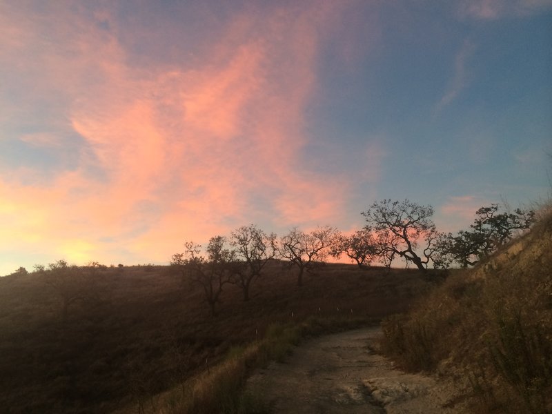 Beautiful sunrise just as you have finished your climb from the start. Just on the left, is the hill that is worth the climb for additional views.