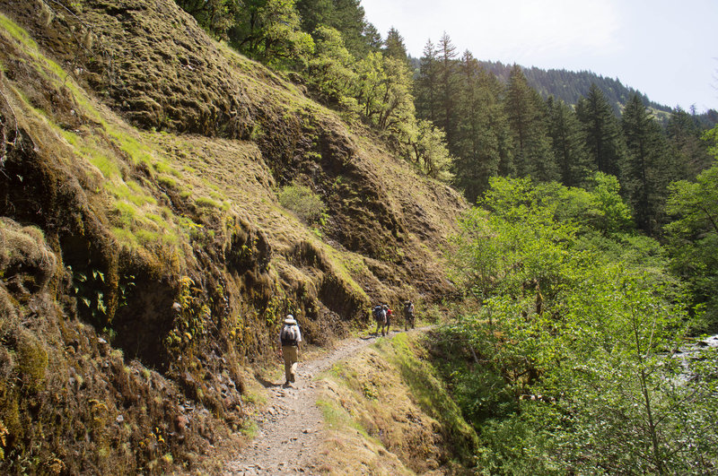 Eagle Creek Trail.