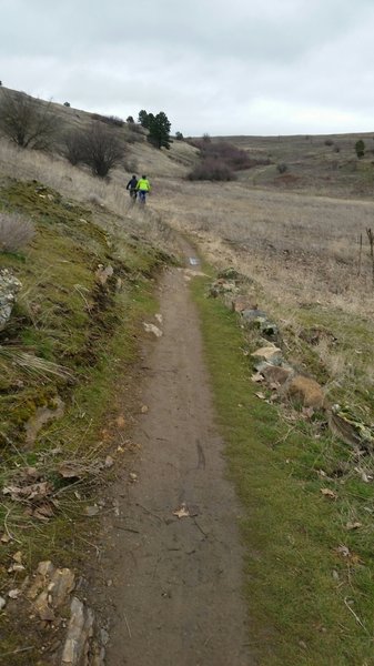 Spring recreation in on the Uplands Loop near the Saltese Uplands Conservation Area.