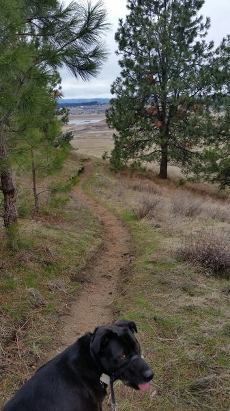 Saltese Flats from Turtle Gulch