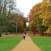 Windsor Great Park - Colorful road.