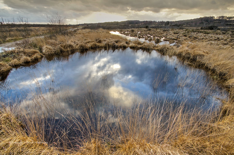 Circular pond.