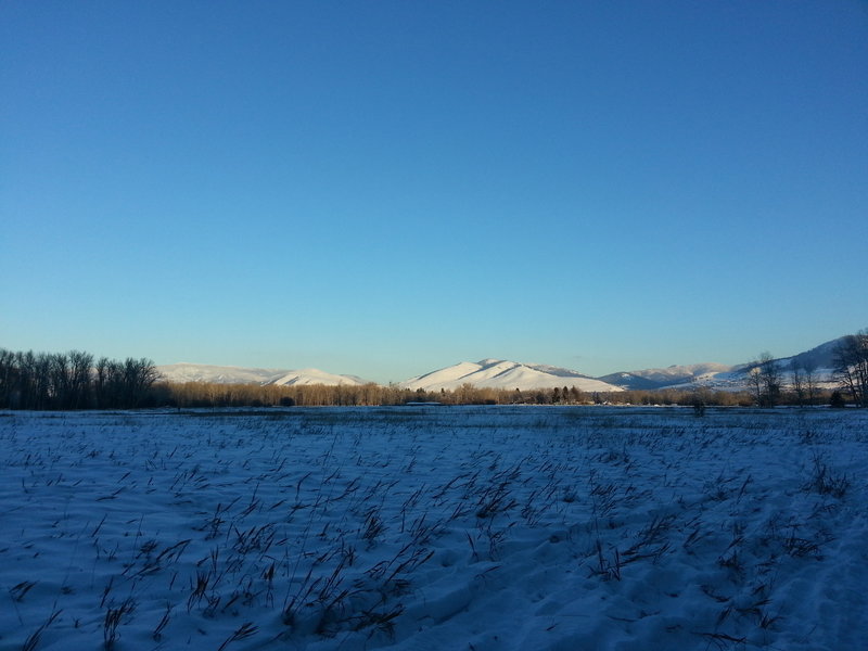 Missoula in view from Maclay Flats.