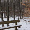 Bench at the crossing of the Yellow and Orange Loops.