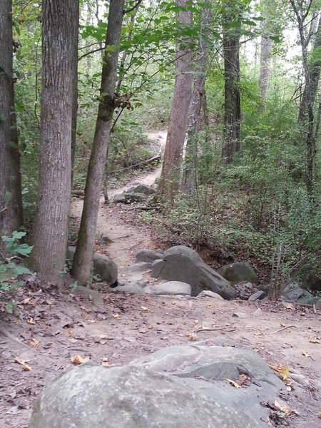 Rocks on East Main.